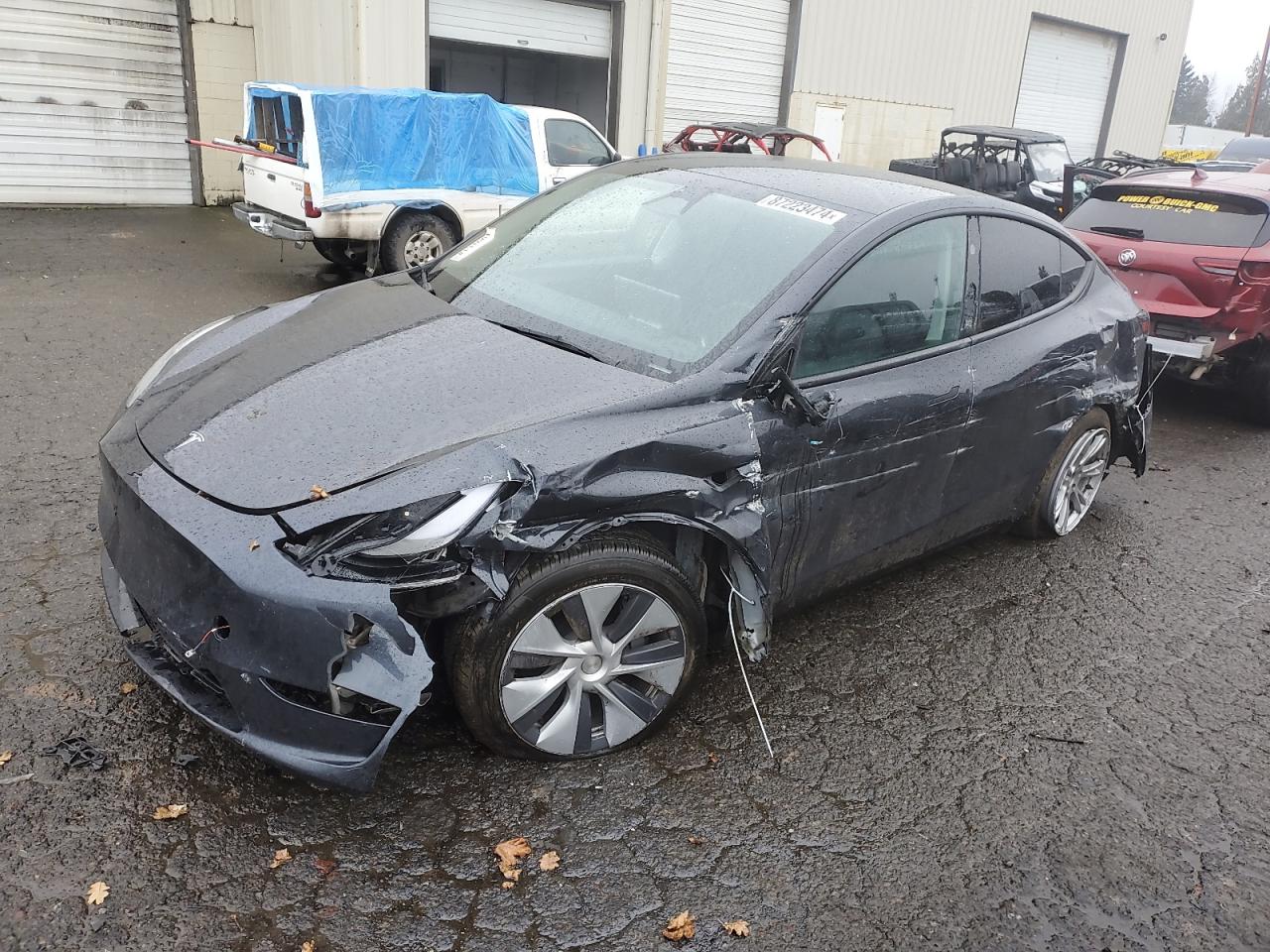 2024 TESLA MODEL Y  VIN:7SAYGDEE0RF990434