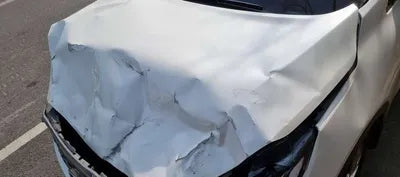 2019 Kia Sorento KNAPK81BDLA554946 VIN:KNAPK81BDLA554946