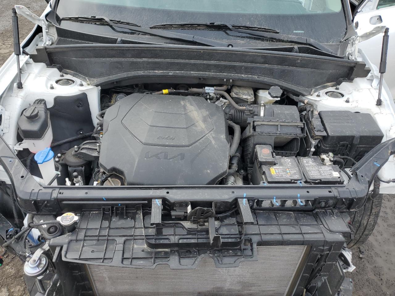 2024 KIA TELLURIDE EX VIN:5XYP3DGC2RG451676