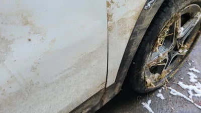 2021 Mercedes-Benz B 250 W1N4M4HB4MW101928 VIN:W1N4M4HB4MW101928