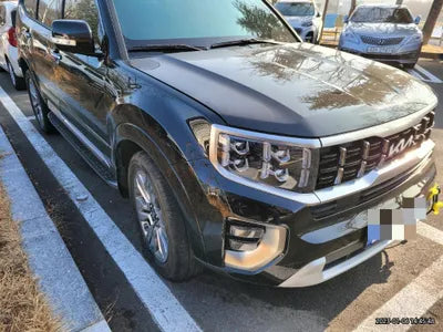 2022 Kia Mohave KNAKN814DNA236233 VIN:KNAKN814DNA236233