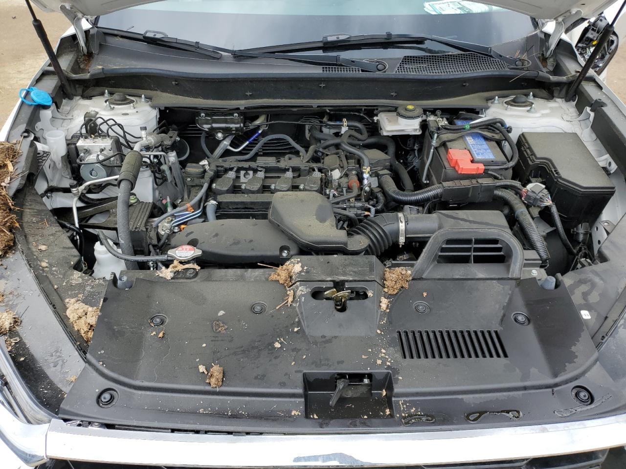 2023 HONDA CR-V EX VIN:5J6RS3H40PL005504