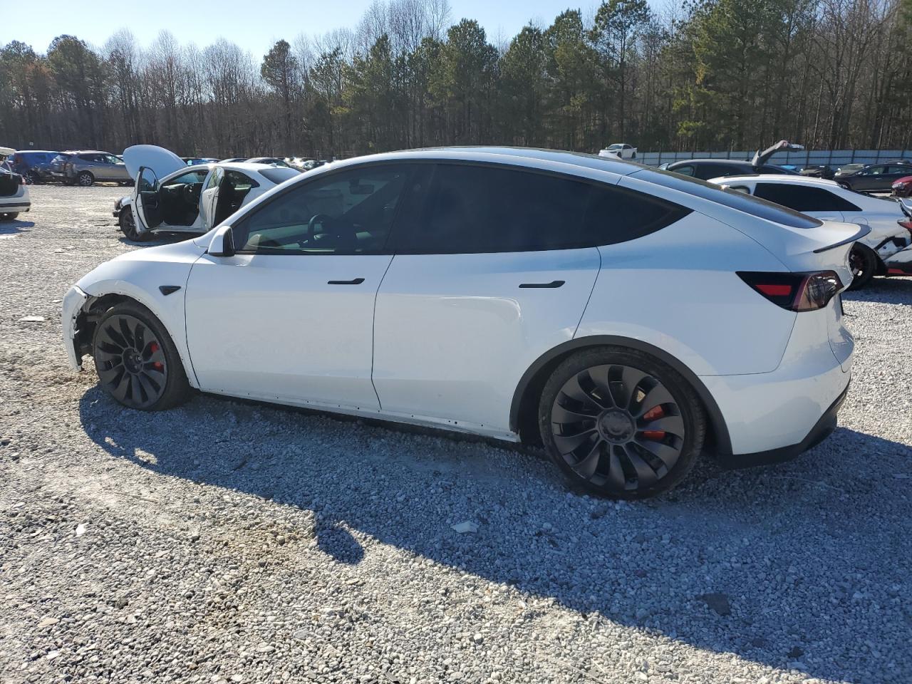 2023 TESLA MODEL Y  VIN:7SAYGDEFXPF935544