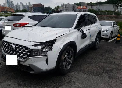 2021 Hyundai Santa FE KMHS281LGMU385620 VIN:KMHS281LGMU385620