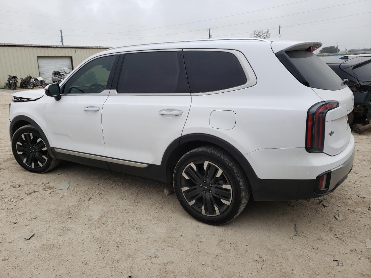 2023 KIA TELLURIDE SX VIN:5XYP5DGC0PG377696