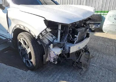 2021 Hyundai Santa FE KMHS381HGMU310393 VIN:KMHS381HGMU310393