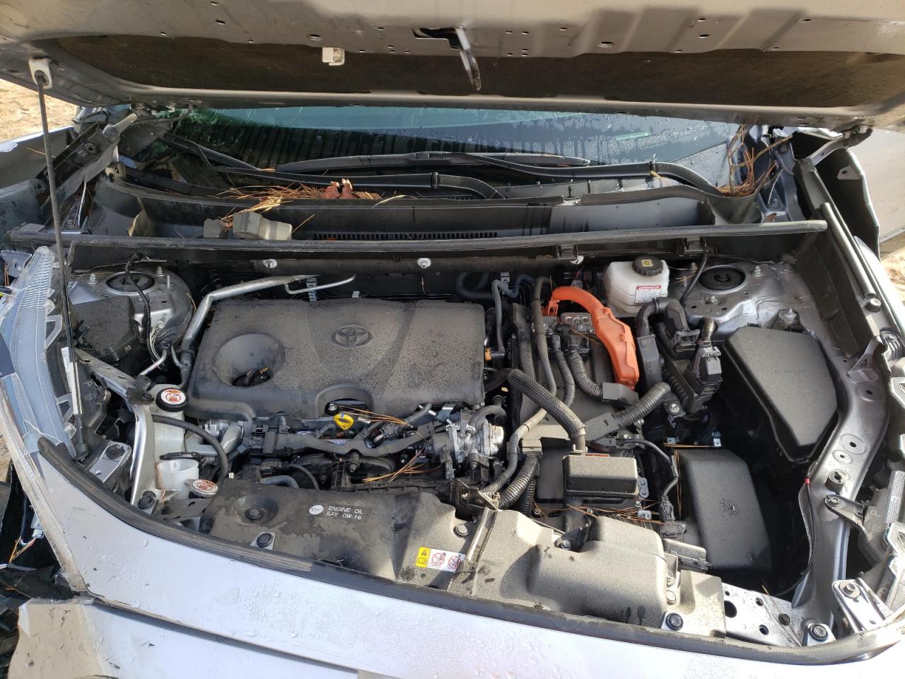 2023 TOYOTA RAV4 SE VIN:JTM16RFV3PJ029930