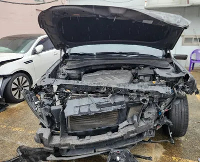 2020 Hyundai Santa FE KMHS381BBLU203297 VIN:KMHS381BBLU203297