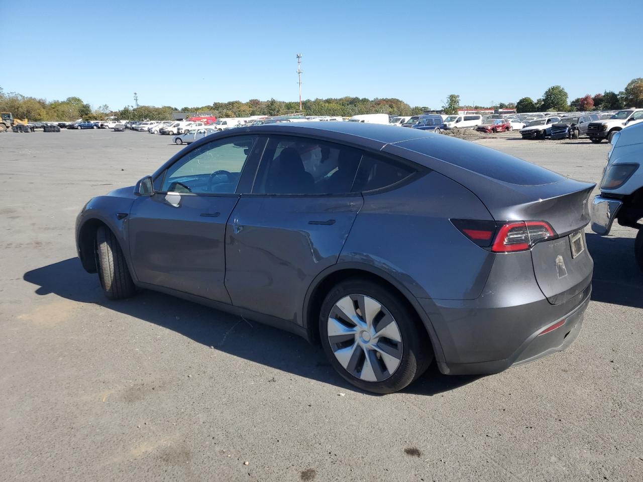 2023 TESLA MODEL Y  VIN:7SAYGAEE7PF929304