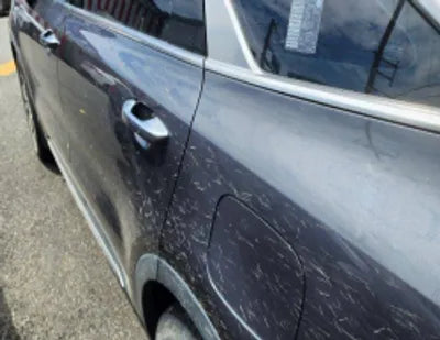2021 Kia Sorento KNARL81BHMA002814 VIN:KNARL81BHMA002814