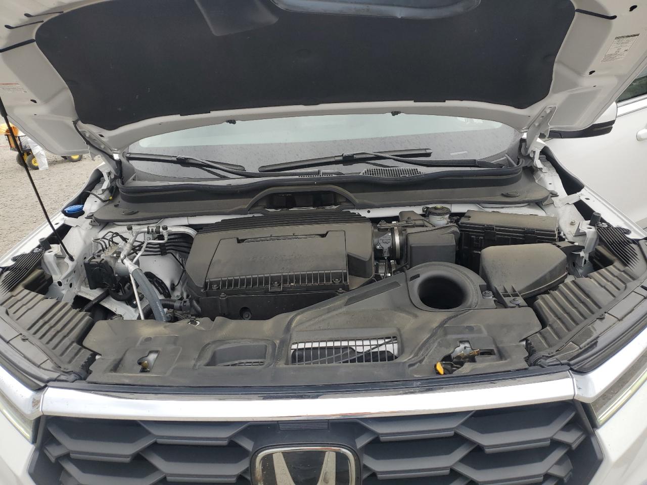 2023 HONDA PILOT EXL VIN:5FNYG2H55PB004180