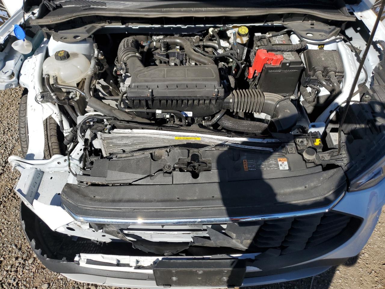 2023 FORD ESCAPE ACTIVE VIN:1FMCU9GN0PUB16790
