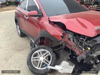 2019 Hyundai Kona KMHK2817GLU474677 VIN:KMHK2817GLU474677