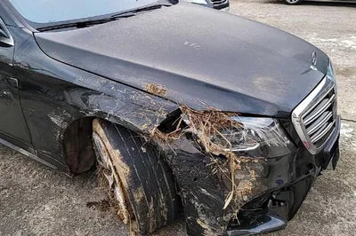 2020 Mercedes-Benz S 350 W1KUF2BB2LA560651 VIN:W1KUF2BB2LA560651