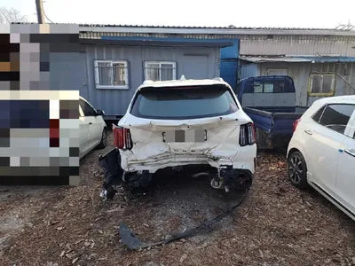 2020 Kia Sorento KNAPG81BBLA569568 VIN:KNAPG81BBLA569568