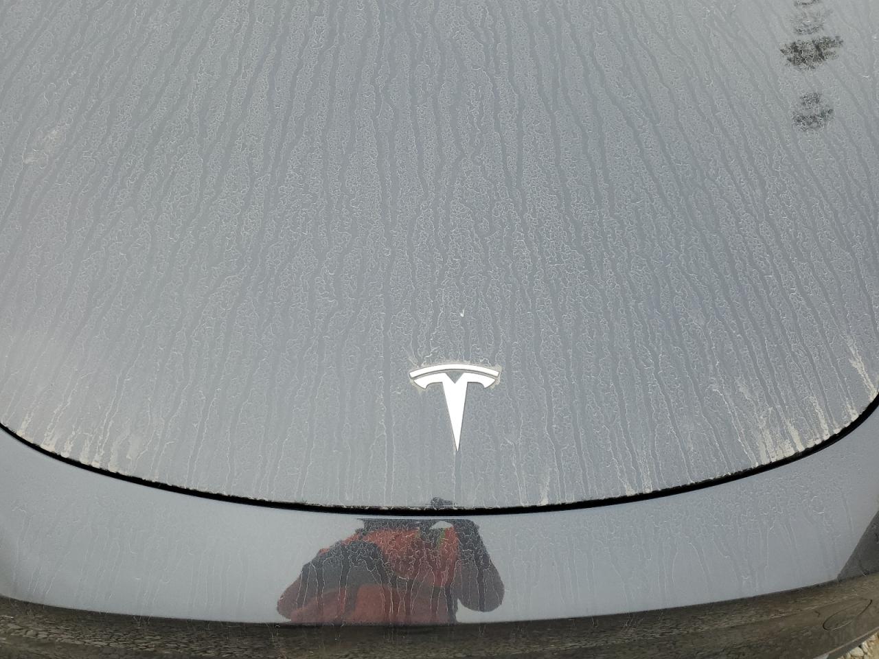 2024 TESLA MODEL Y  VIN:7SAYGDED6RF041896