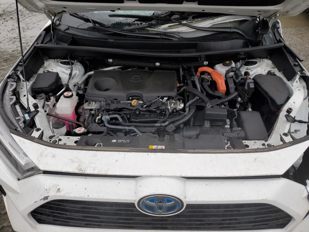 2024 TOYOTA RAV4 XLE VIN:2T3RWRFV2RW196495