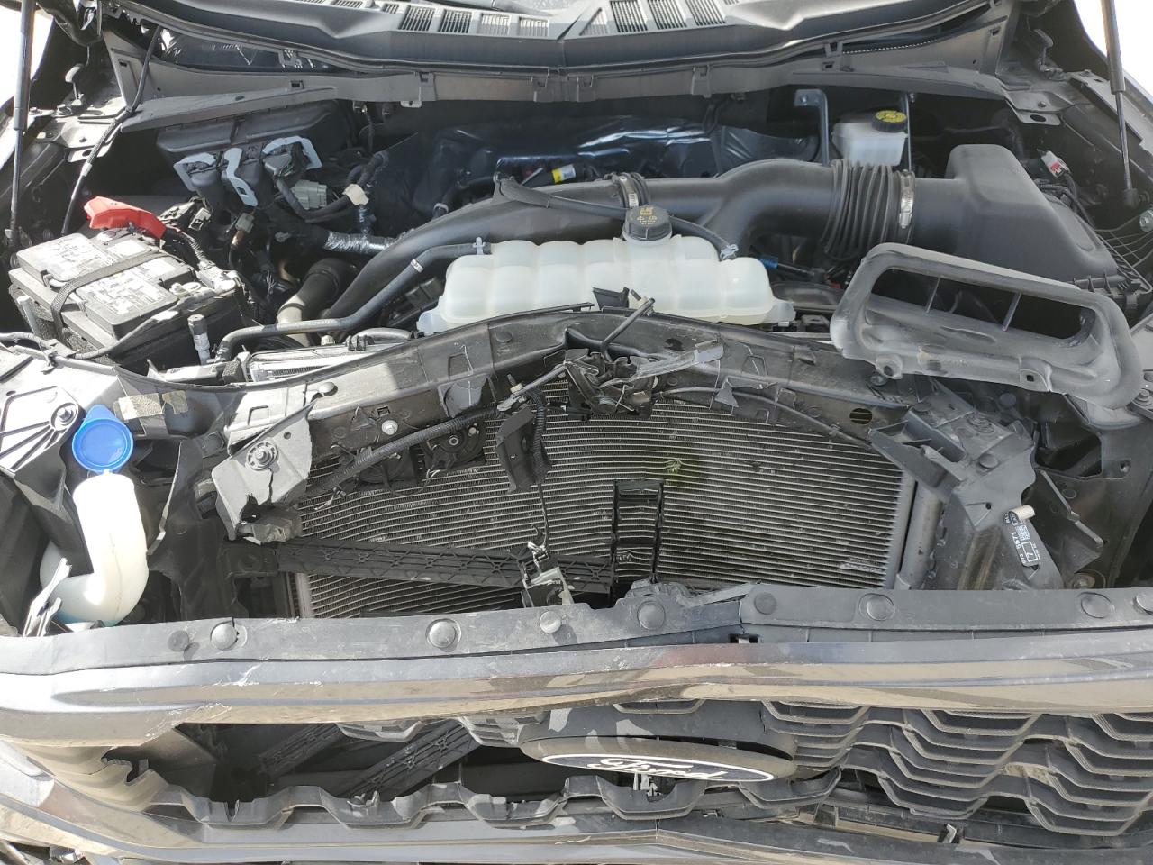 2024 FORD F150 STX VIN:1FTEW2KP7RKD26311