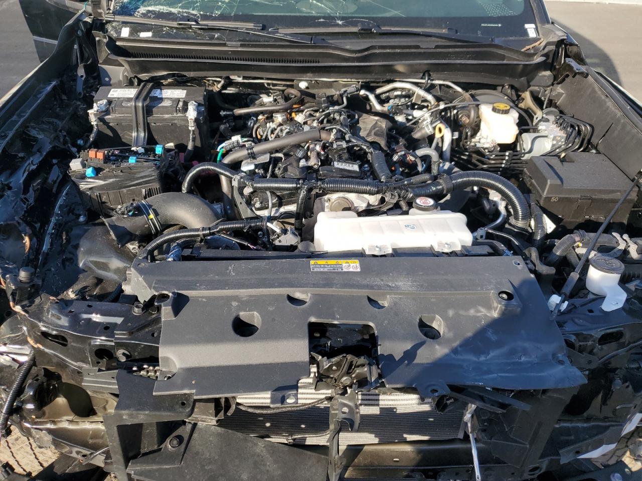 2024 TOYOTA TACOMA DOUBLE CAB VIN:3TMLB5JN9RM026248