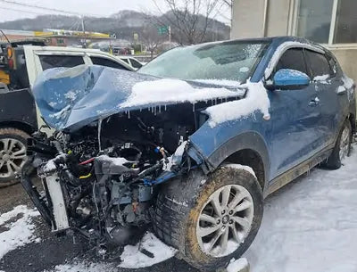 2017 Hyundai Tucson KMHJ2815GHU310441 VIN:KMHJ2815GHU310441