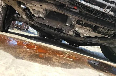 2021 Kia Sorento KNARL81BHMA089057 VIN:KNARL81BHMA089057
