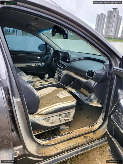 2019 Hyundai Santa FE KMHS381ABLU265772 VIN:KMHS381ABLU265772