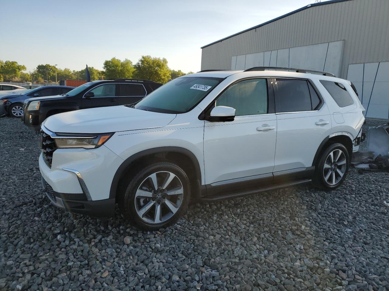 2024 HONDA PILOT ELITE VIN:5FNYG1H81RB043050