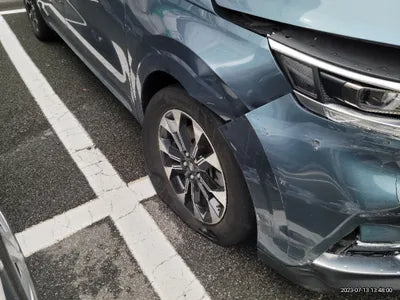 2021 Kia Carnival KNANE81BBMS085862 VIN:KNANE81BBMS085862