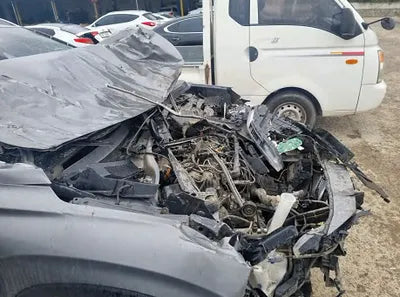 2019 Hyundai Santa FE KMHS381CBKU017002 VIN:KMHS381CBKU017002