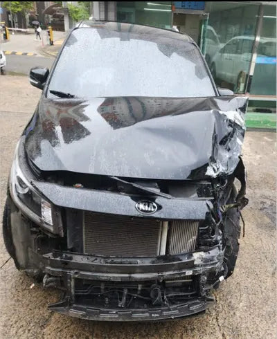 2018 Kia Carnival KNAMB81ABKS483304 VIN:KNAMB81ABKS483304