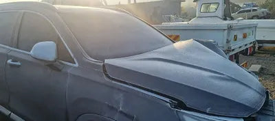 2019 Hyundai Santa FE KMHS581CDKU095358 VIN:KMHS581CDKU095358