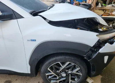 2020 Hyundai Kona KMHK381EGLU028060 VIN:KMHK381EGLU028060
