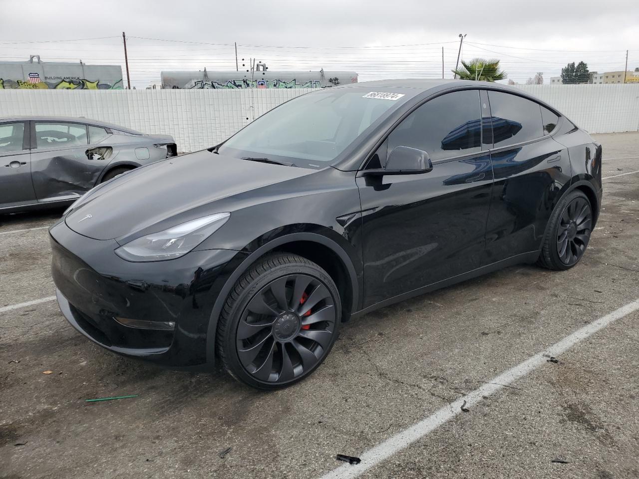 2024 TESLA MODEL Y  VIN:7SAYGDEF0RF057092