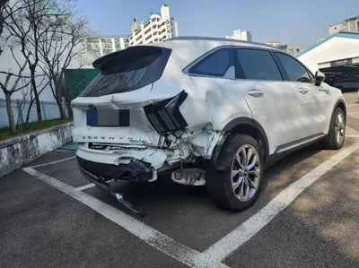 2021 Kia Sorento KNARL81BGMA107329 VIN:KNARL81BGMA107329