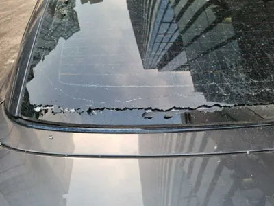 2020 BMW 430 WBA4Z1106L5R42800 VIN:WBA4Z1106L5R42800