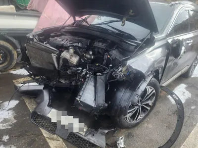 2019 Hyundai Santa FE KMHS381BBKU163688 VIN:KMHS381BBKU163688