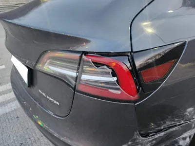2021 Tesla Model 3 5YJ3E1EB6MF892227 VIN:5YJ3E1EB6MF892227