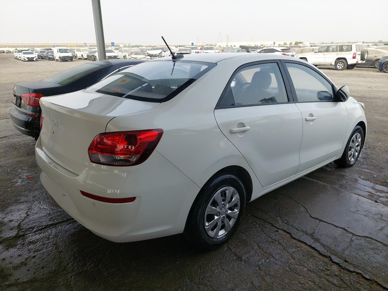 2024 KIA PEGAS VIN:LJD0AA294R0******