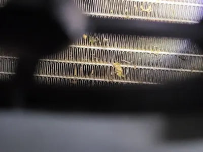 2017 Mercedes-Benz CLA 250 WDDSJ4GB8HN455252 VIN:WDDSJ4GB8HN455252