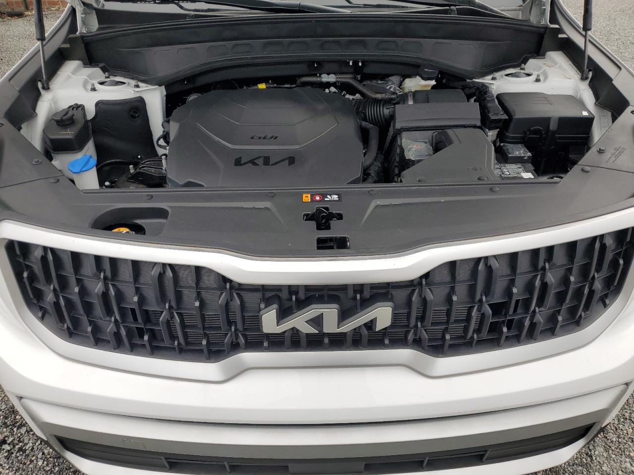 2024 KIA TELLURIDE LX VIN:5XYP2DGC0RG461190