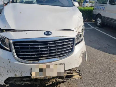 2016 Kia Carnival KNHMF37ABGS234094 VIN:KNHMF37ABGS234094