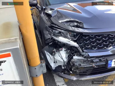 2023 Kia Sorento KNARL81FGPA216084 VIN:KNARL81FGPA216084