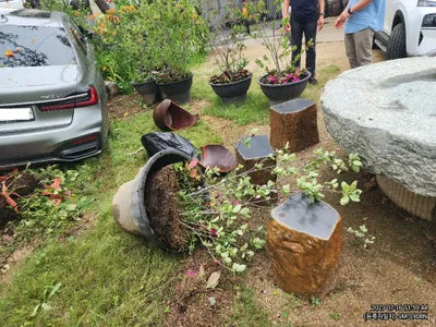 2020 BMW 740 WBA7T410XLCE40015 VIN:WBA7T410XLCE40015