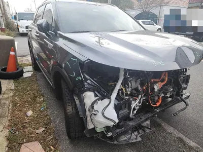 2021 Kia Sorento KNARK81GBMA049343 VIN:KNARK81GBMA049343