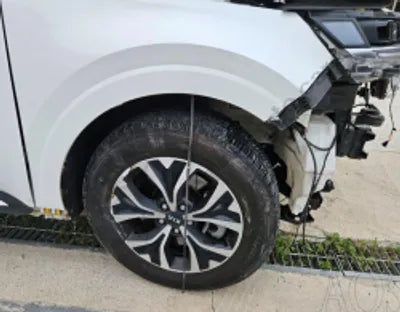 2021 Kia Carnival KNANC81BBMS042269 VIN:KNANC81BBMS042269