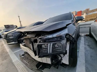 2021 Hyundai Santa FE KMHS381LGMU412456 VIN:KMHS381LGMU412456