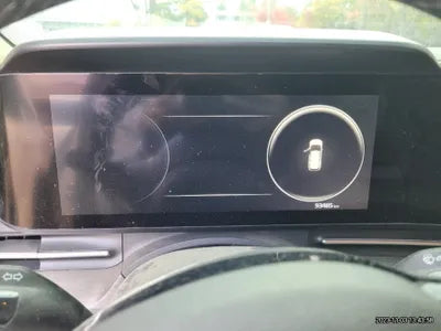 2021 Kia Carnival KNANC81BBMS076004 VIN:KNANC81BBMS076004