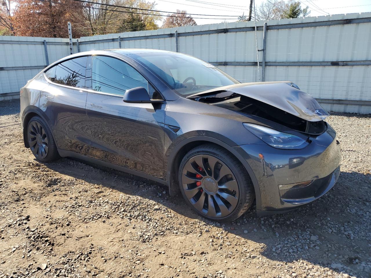 2024 TESLA MODEL Y  VIN:7SAYGDEF3RF021722