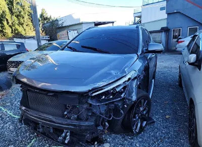 2017 Hyundai Santa FE KMHSW81UBHU720862 VIN:KMHSW81UBHU720862