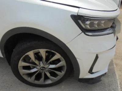 2021 Kia Sorento KNARL81BGMA079110 VIN:KNARL81BGMA079110